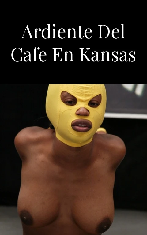 El Trio Ardiente del Cafe en Kansas City