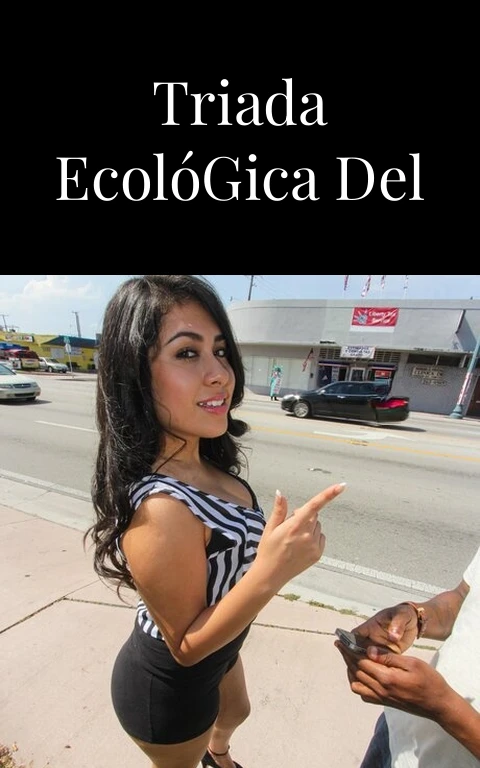 La Fiebre de la Triada Ecológica del Dengue PDF