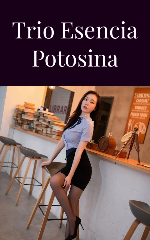 Trio Esencia Potosina