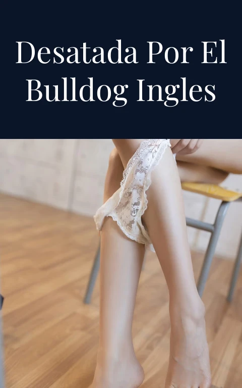 Pasión Desatada por el Bulldog Ingles Blue Tri