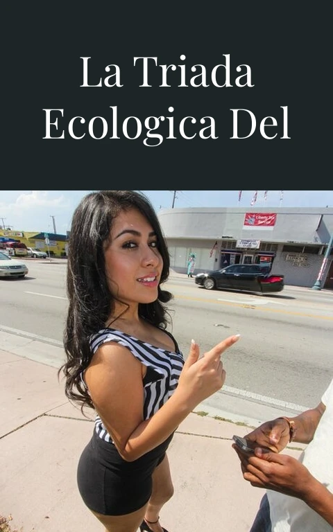 El Concepto de la Triada Ecologica del Placer