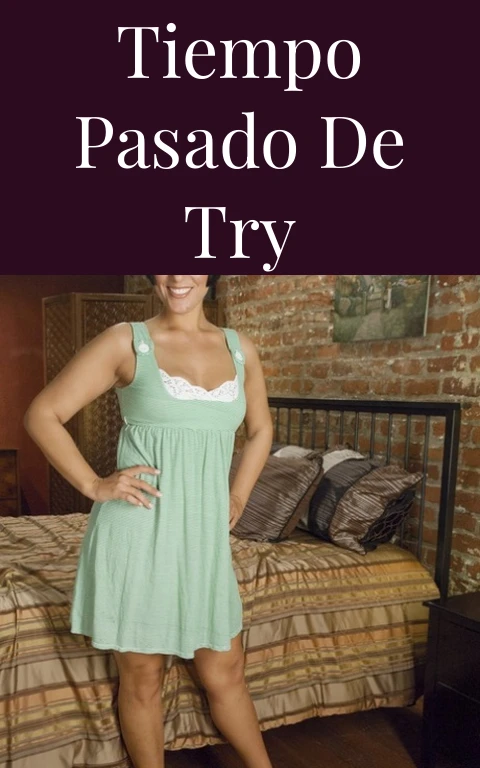 Tiempo Pasado de Try
